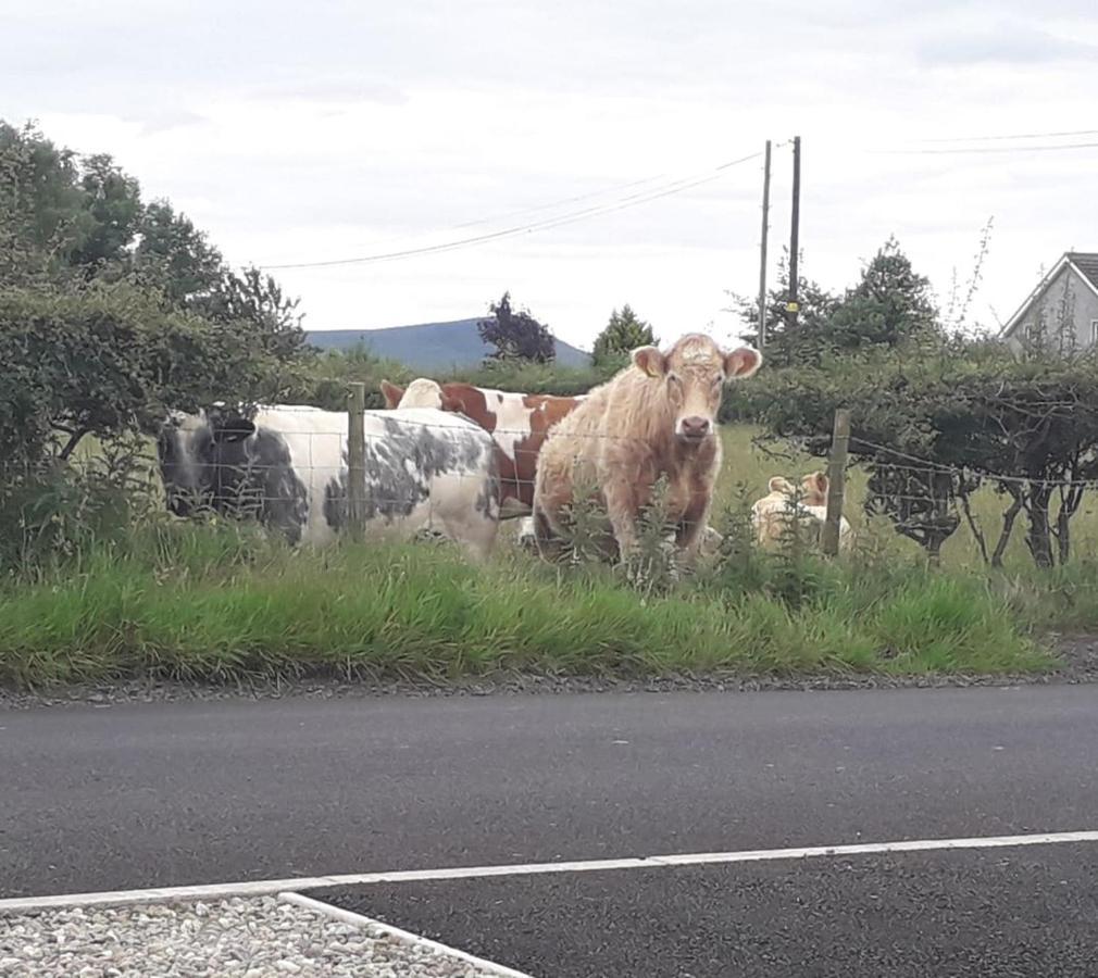 Mountain View Cottage Limavady Bagian luar foto